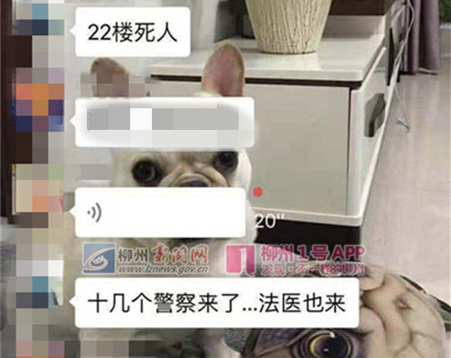 微信图片_20181122150907_副本.jpg 微信图片_20181122150907_副本.jpg
