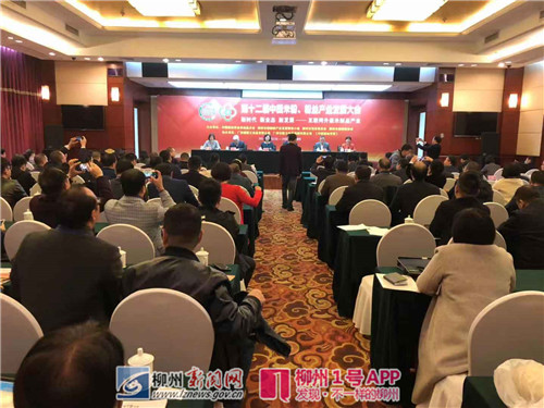 全国米粉行业“大咖”汇聚柳州，推动螺蛳粉产业的飞速发展！