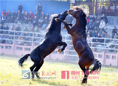 微信图片_20181125210312.jpg