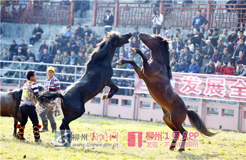 微信图片_201811252103121.jpg