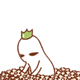 微信图片_20181126143834.gif 微信图片_20181126143834.gif