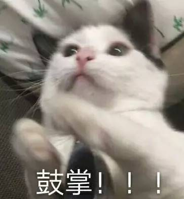 1503048552234.png