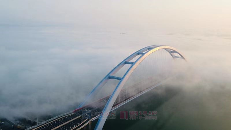 微信图片_20181127083856.jpg