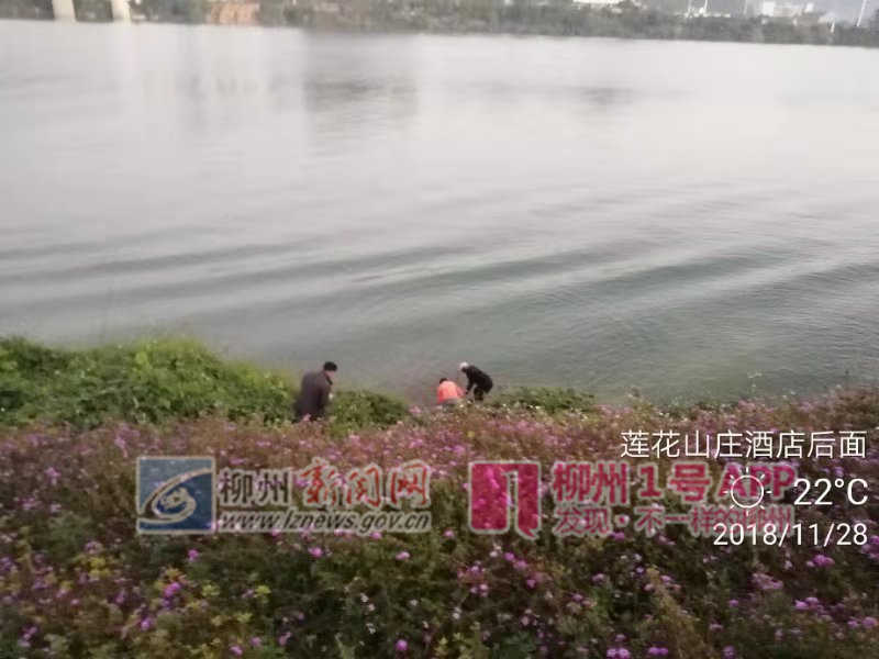微信图片_20181128204825.jpg 微信图片_20181128204825.jpg