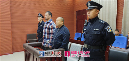 荣兴驾校春园福考场涉嫌非法占用林地，两负责人当庭认罪