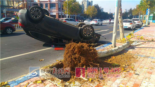 微信图片_20181129145730_副本.jpg