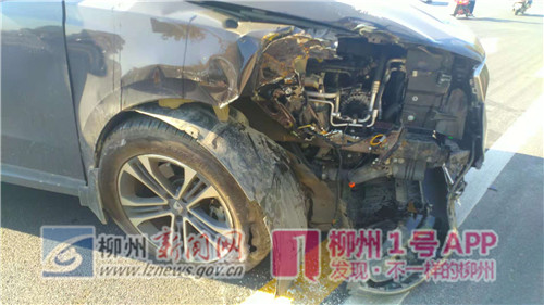 微信图片_20181129151207_副本.jpg