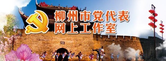 党旗耀龙城|拓宽党代表履职渠道