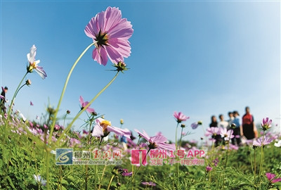 res01_attpic_brief_副本.jpg