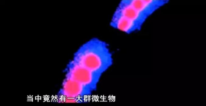 QQ截图20181204095851.jpg QQ截图20181204095851.jpg