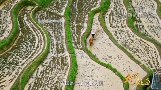 4分钟速览：大型电视纪录片《我们一起走过》第二集