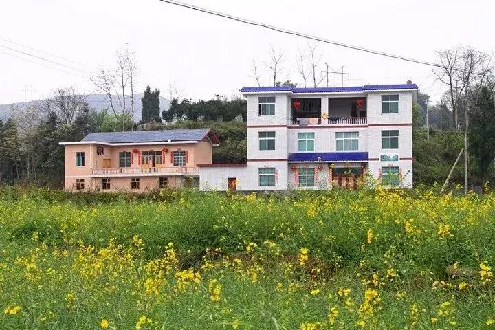 微信图片_20181204135543.jpg 微信图片_20181204135543.jpg