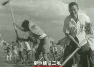 5.gif 5.gif