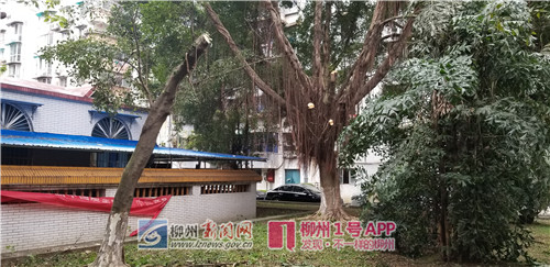 微信图片_20181206205134.jpg