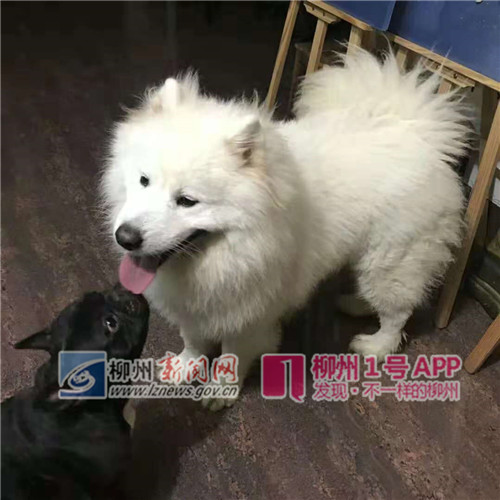 微信图片_20181210122049_副本.jpg 微信图片_20181210122049_副本.jpg