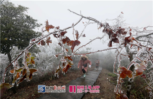 微信图片_20181211094215.jpg