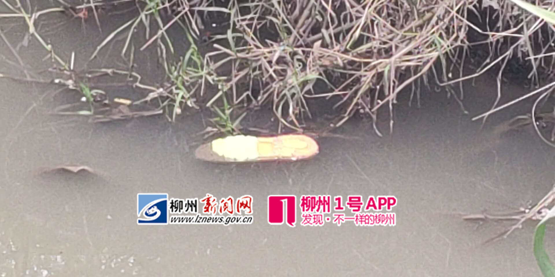 微信图片_20181214152050.jpg