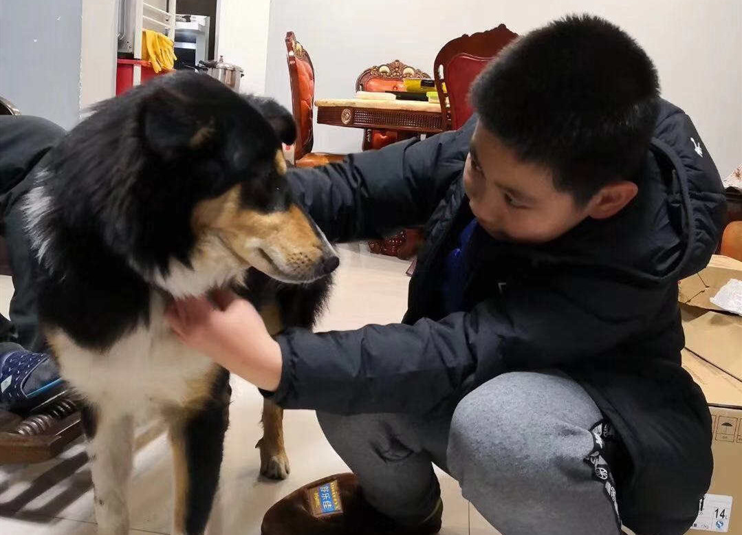 谁家狗狗跑到百乐园花鸟市场了，快来认领！