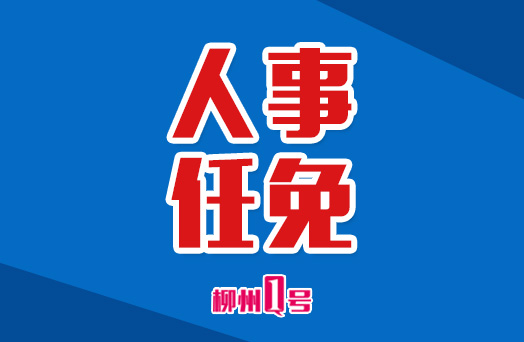 我区13名干部任前公示，陈鸿宁拟任正厅级领导职务