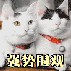 微信图片_20181219132410.gif 微信图片_20181219132410.gif