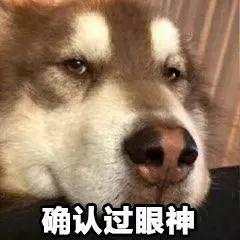 微信图片_20181220094103.jpg 微信图片_20181220094103.jpg