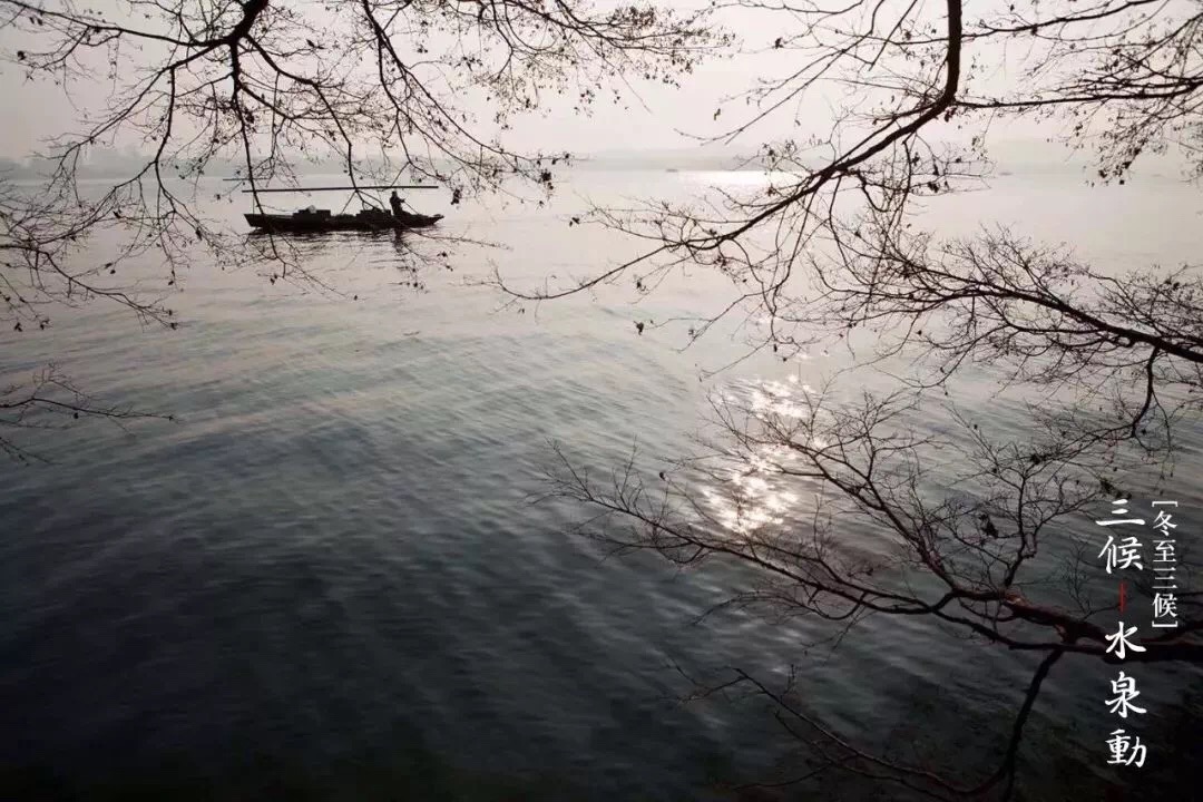 81545436483_.pic_hd.jpg