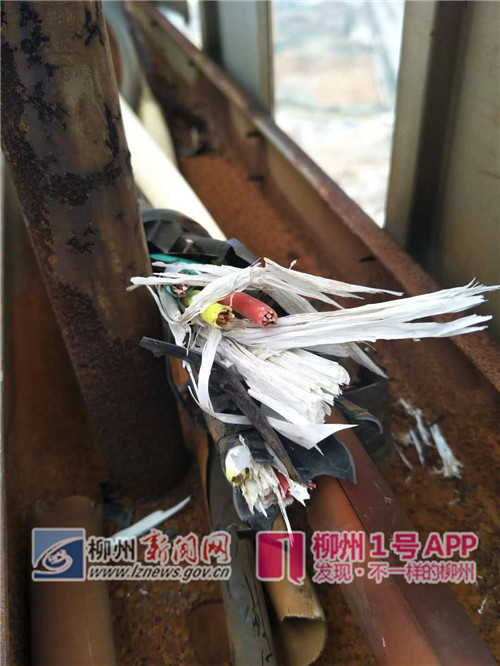 微信图片_20181225171304_副本.jpg