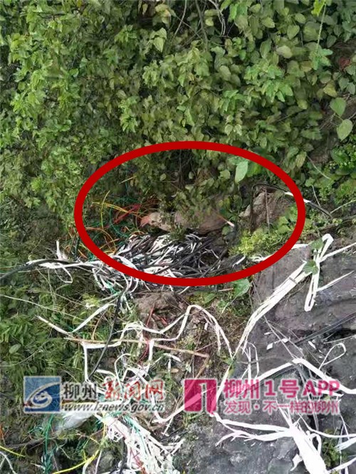 微信图片_20181225171258_副本_副本.jpg 微信图片_20181225171258_副本_副本.jpg