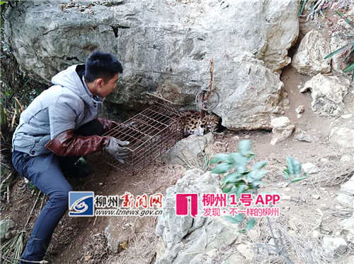 微信图片_20181226153438_副本.jpg