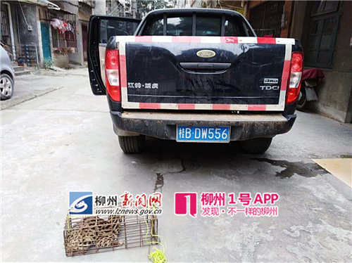 微信图片_20181226153442_副本.jpg 微信图片_20181226153442_副本.jpg