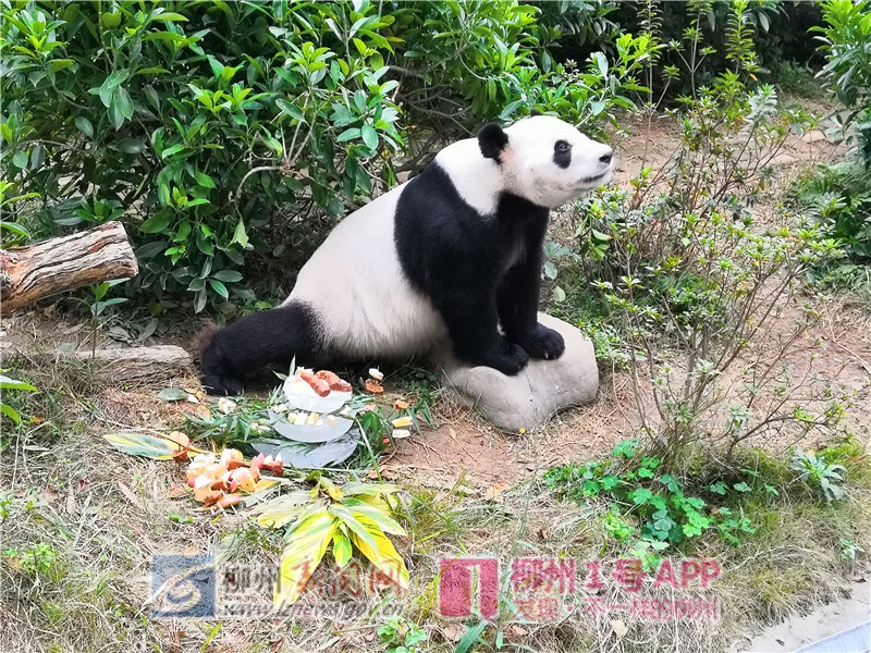 2603_副本.jpg