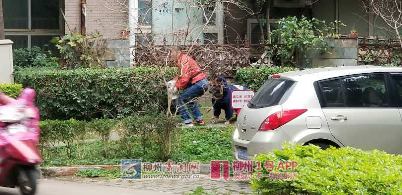 微信图片_20181229081707.jpg 微信图片_20181229081707.jpg