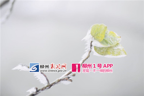 1305018026_副本.jpg