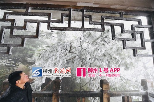 1394420957_副本.jpg