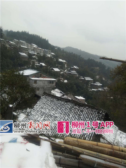微信图片_20181230094301_副本.jpg