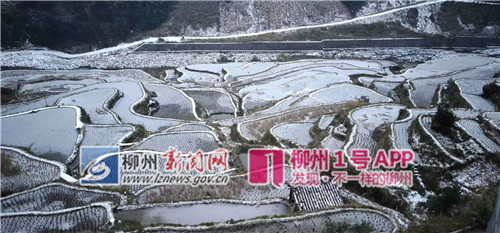 微信图片_20181230094827_副本.jpg