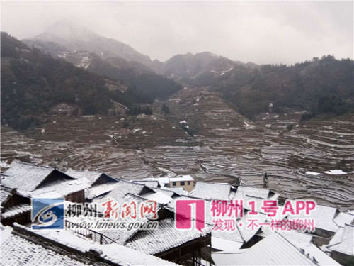 微信图片_20181230095217_副本.jpg