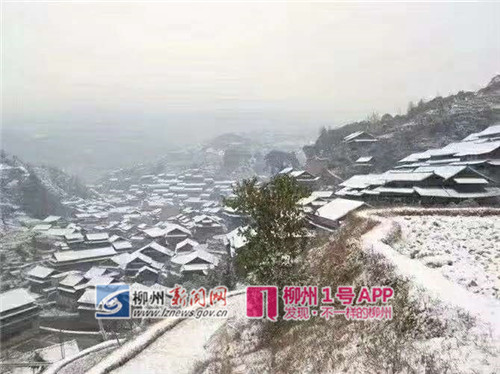 微信图片_20181230102155_副本.jpg