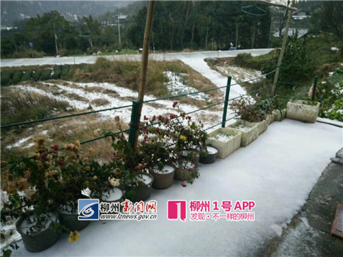 微信图片_20181230103715_副本.jpg