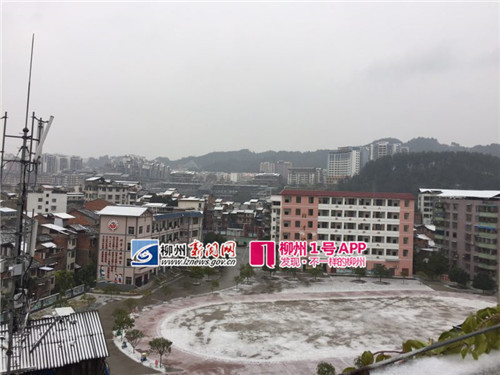 微信图片_20181230111300_副本.jpg