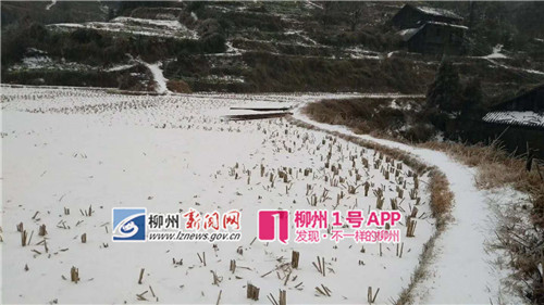 微信图片_20181230112749_副本.jpg