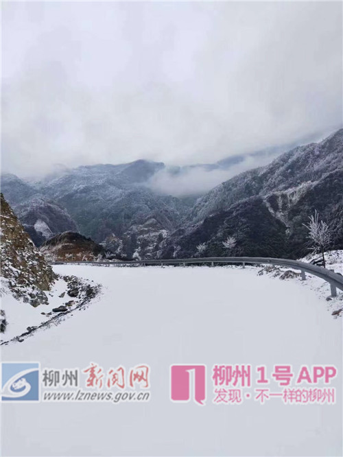 微信图片_20181231105503.jpg