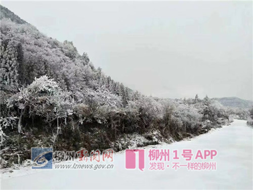 微信图片_201812311055033.jpg