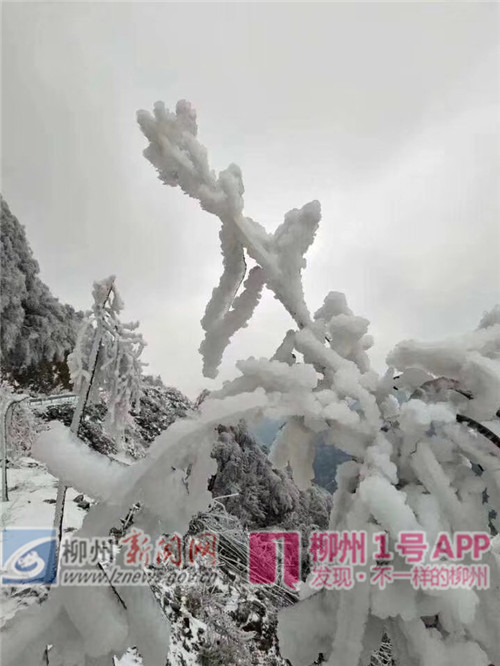 微信图片_201812311055034.jpg