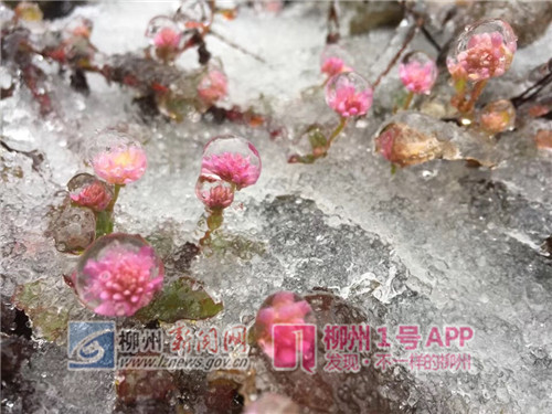 微信图片_201812311055035.jpg