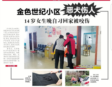 1号时评|文明养狗利人利己