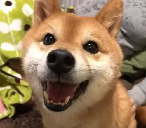 微信图片_20190102154106.jpg 微信图片_20190102154106.jpg