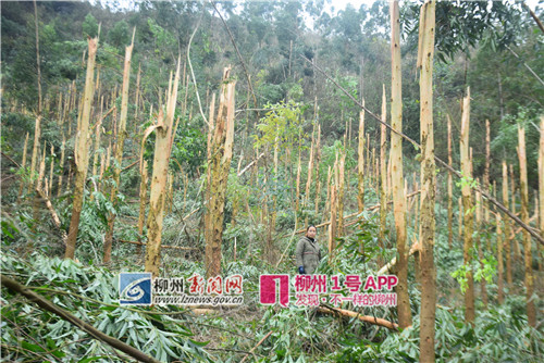 GetAttachment (1)_副本.jpg GetAttachment (1)_副本.jpg