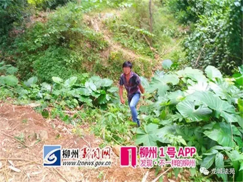 微信图片_20190103105741.jpg