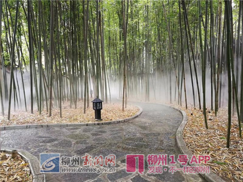 微信图片_20190103165005_副本.jpg